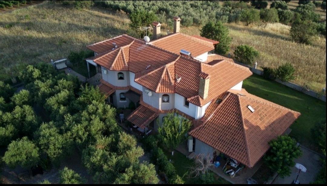 Alice Wonderland Home Nea Flogita Halkidiki エクステリア 写真