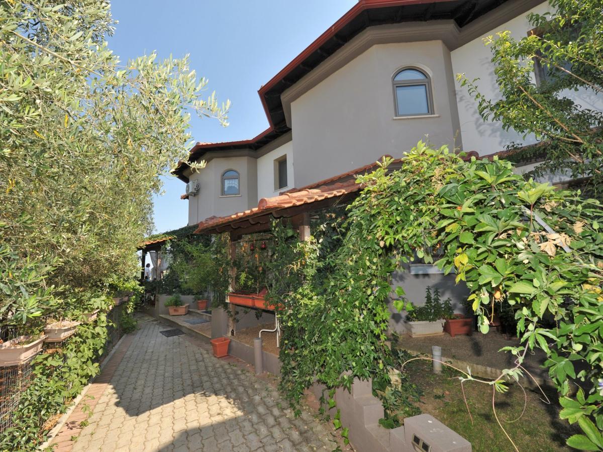 Alice Wonderland Home Nea Flogita Halkidiki エクステリア 写真