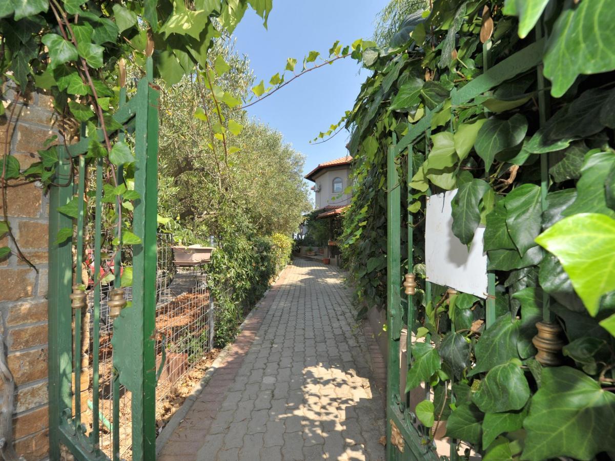 Alice Wonderland Home Nea Flogita Halkidiki エクステリア 写真